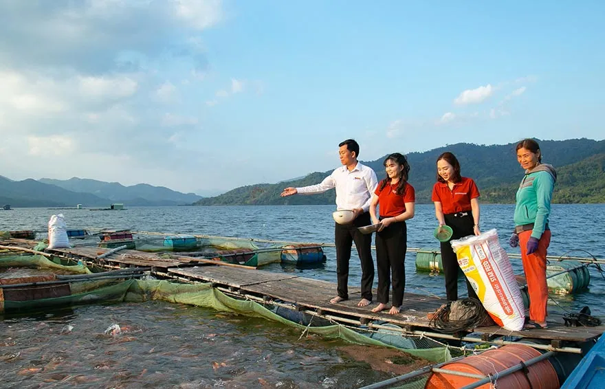 gói tín dụng ưu đãi