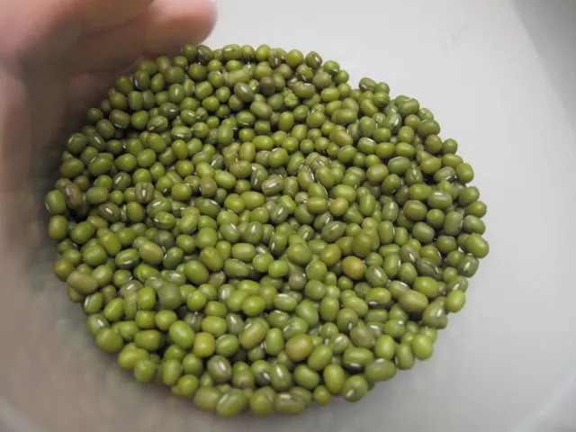 Những loại thảo dược có tác dụng giải độc ảnh 2 Những loại thảo dược có tác dụng giải độc ảnh 2