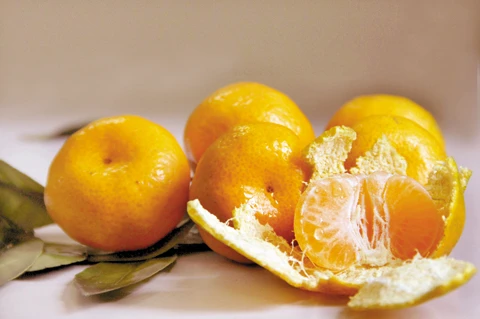 Tác dụng của vỏ quýt có thể bạn chưa biết ảnh 1