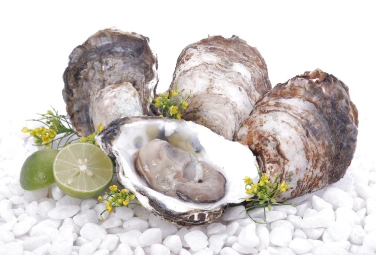 7 loại hải sản có thể gây chết người bạn phải biết ảnh 1