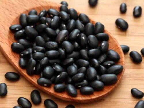 Bài thuốc đơn giản chữa tóc bạc sớm ảnh 5