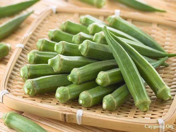 Những tác dụng không ngờ của đậu bắp ảnh 1