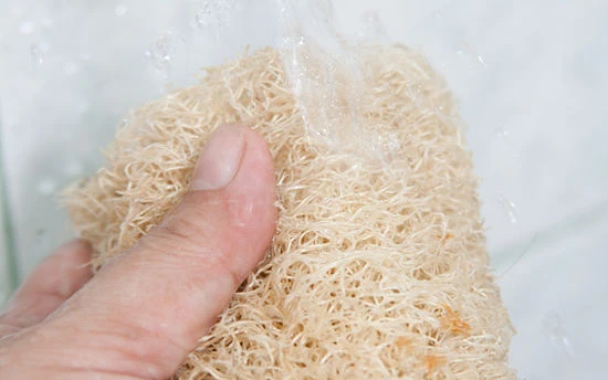 Mẹo vặt đánh bay mùi hôi chân ảnh 5