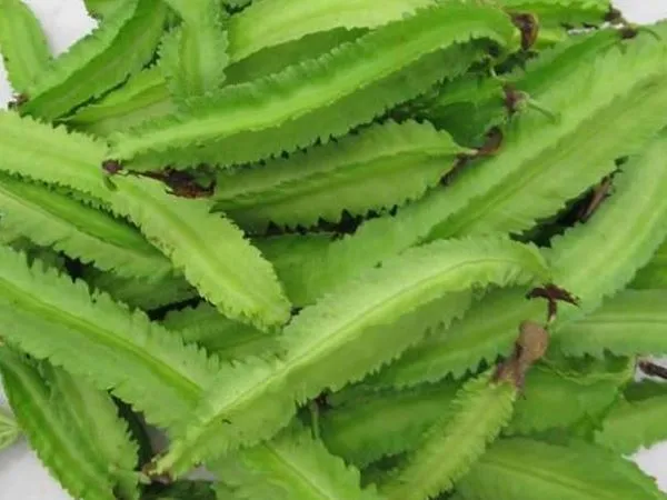 Top 10 loại rau củ giàu canxi ảnh 1 Top 10 loại rau củ giàu canxi ảnh 1