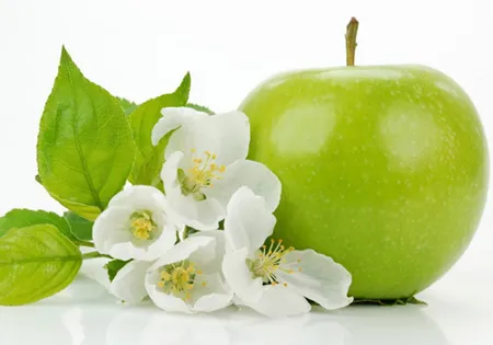 4 tinh dầu giúp trị nám, tàn nhang hiệu quả ảnh 4 4 tinh dầu giúp trị nám, tàn nhang hiệu quả ảnh 4