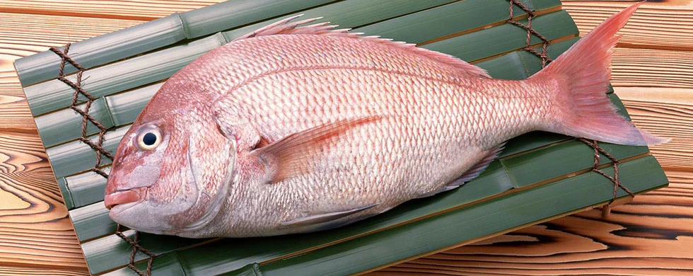 10 lý do ưu tiên cá biển trong thực đơn ảnh 2