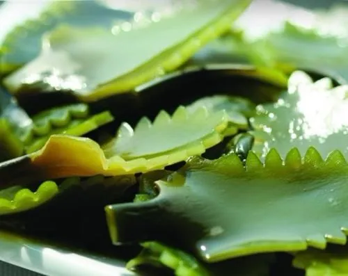 8 thực phẩm giúp ngừa chứng xơ cứng động mạch ảnh 4 8 thực phẩm giúp ngừa chứng xơ cứng động mạch ảnh 4