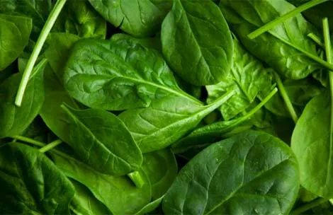 10 cách tự nhiên chữa táo bón mạn tính ảnh 2