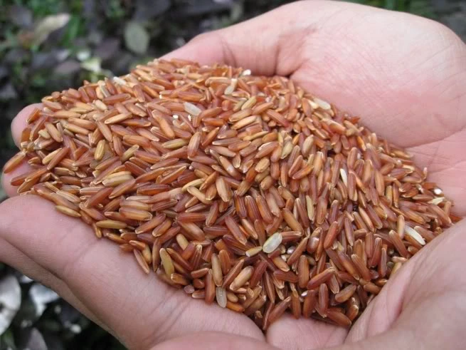 5 điều người suy thận lọc máu phải biết ảnh 2