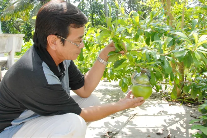 Cận cảnh quy trình sản xuất đào tiên hồ lô 1,4 triệu/cặp ảnh 5