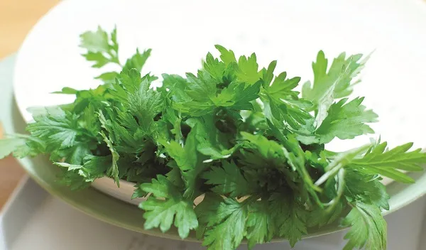 Ngải cứu - dùng quá liều có thể trúng độc ảnh 1 Ngải cứu - dùng quá liều có thể trúng độc ảnh 1