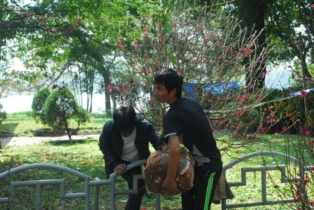 Xuân về trên cố đô Huế ảnh 2