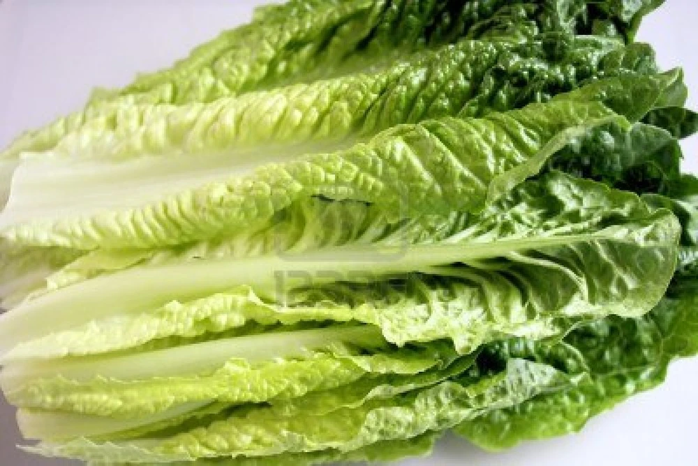 Tác dụng không phải ai cũng biết của rau xà lách ảnh 2 Tác dụng không phải ai cũng biết của rau xà lách ảnh 2