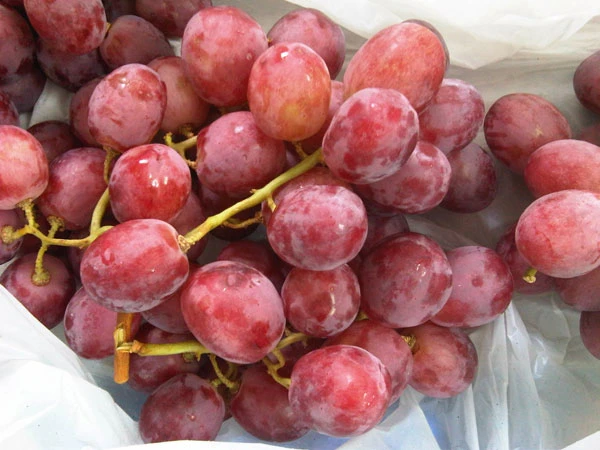 Bị đau đầu nên kiêng ăn gì? ảnh 2