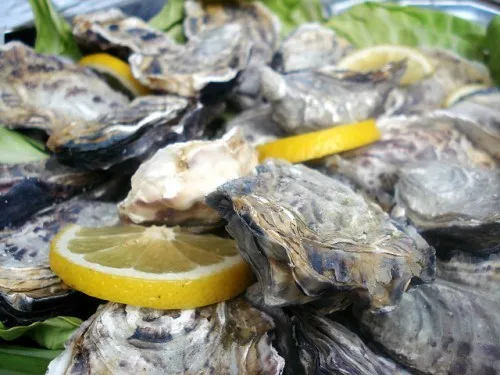 Tạm biệt rụng tóc nhờ 7 nguyên liệu tự nhiên ảnh 6