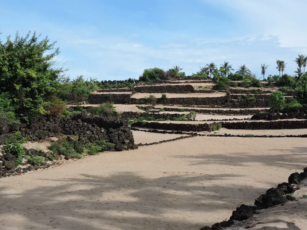 Hút hồn vẻ đẹp ruộng bậc thang giữa biển Đông ảnh 5 Hút hồn vẻ đẹp ruộng bậc thang giữa biển Đông ảnh 5