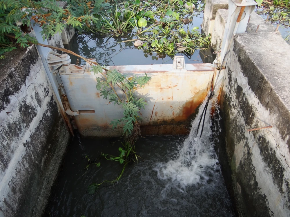 Cống ngăn triều không ngăn nổi nước ảnh 1