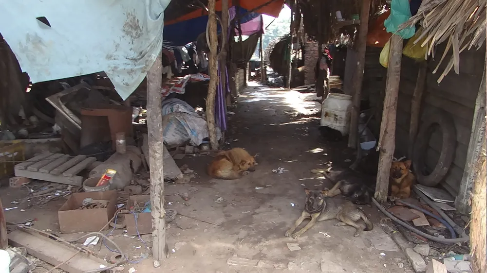 ‘Đột kích’ khu sơ chế chất thải chui lớn nhất Sài Gòn ảnh 2