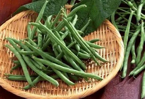 Tám cách để giữ mái tóc đẹp ảnh 1 Tám cách để giữ mái tóc đẹp ảnh 1