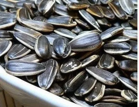 Bảy giải pháp tự nhiên ngăn ngừa tình trạng ‘hai cằm’ ảnh 6