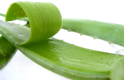 Bảy giải pháp tự nhiên ngăn ngừa tình trạng ‘hai cằm’ ảnh 7