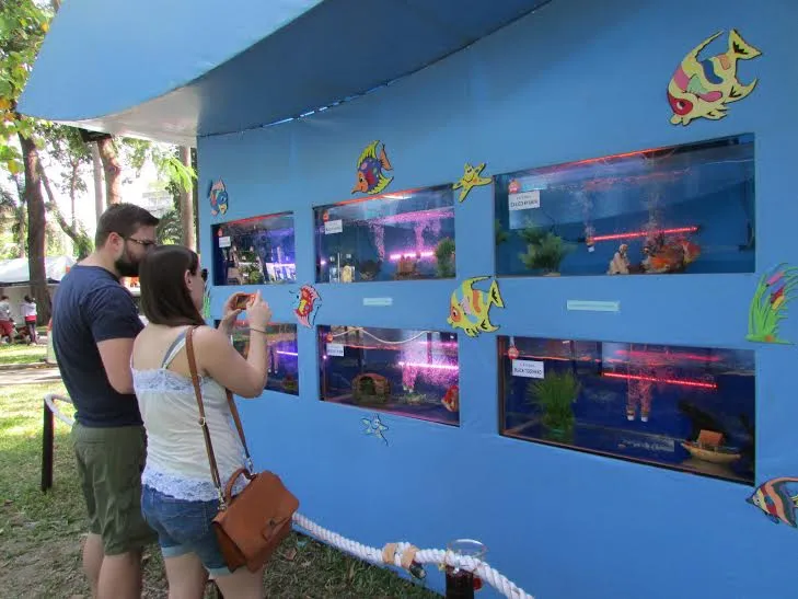 Rộn ràng khai mạc Hội hoa xuân Tết Bính Thân ảnh 5