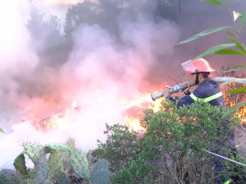 Lực lượng cứu hỏa đang tiến hành dập lửa.