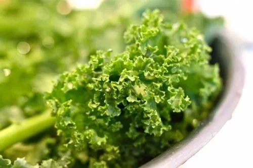 16 món ăn giúp giảm cân trong mùa hè ảnh 5 cải xoăn