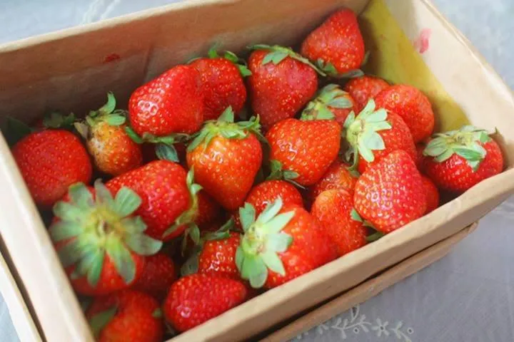 16 món ăn giúp giảm cân trong mùa hè ảnh 3 dâu tây