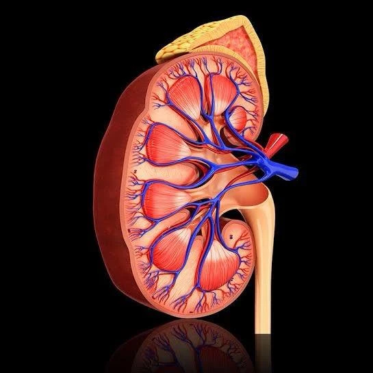 Các tốt nhất để ngăn ngừa nguy cơ bệnh thận là giữ kiểm soát đường huyết và huyết áp.