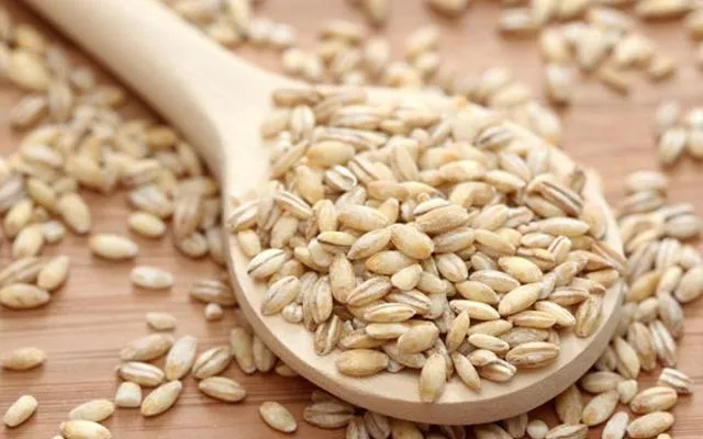 6 thực phẩm nên tránh xa khi bị eczema ảnh 1 Lúa mạch là một trong những thực phẩm nhiều gluten