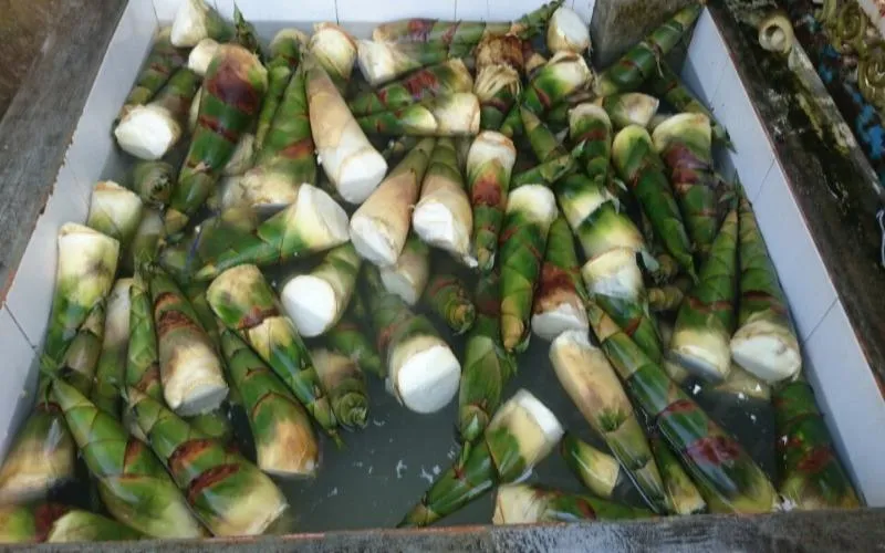 măng ngâm hóa chất