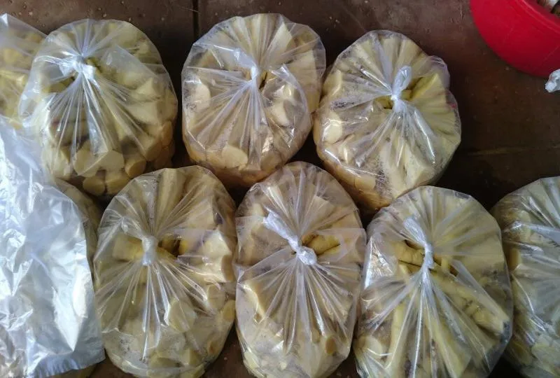 măng tre ngâm hóa chất