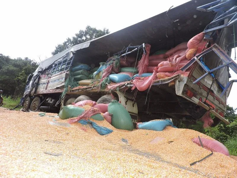 Tài xế buồn ngủ đâm xe chở bắp rồi lao xuống vực ảnh 2 xe tải chở bắp bị đâm