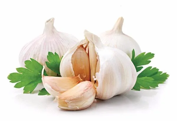 củ tỏi