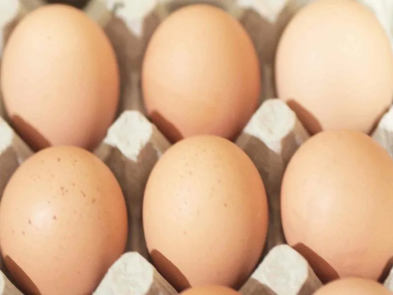 trứng gà