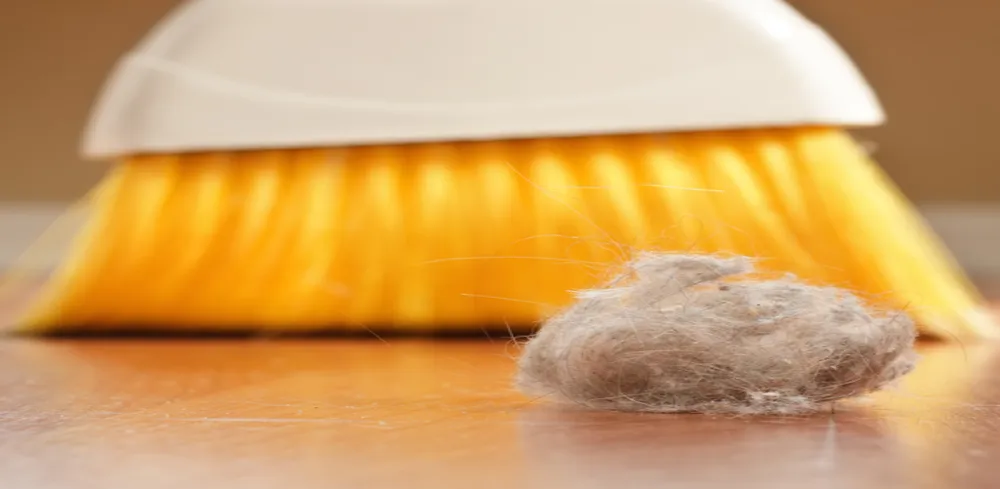 Bụi trong nhà có thể gây ung thư