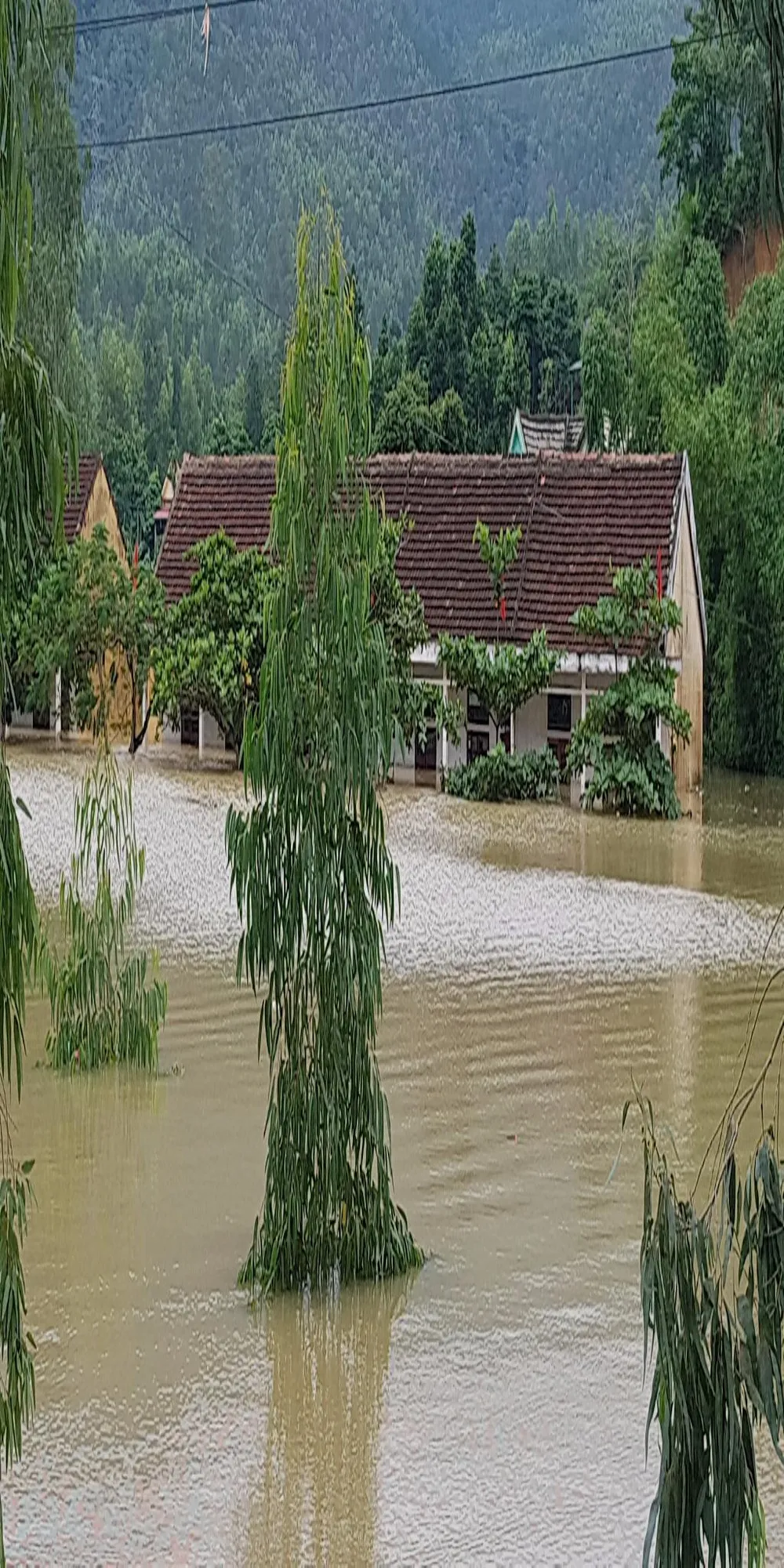 Quảng Bình: Lũ lớn hàng ngàn hộ dân ngập nặng ảnh 7 Trường học ở xã Cảnh Hóa.