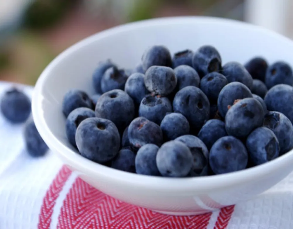 Việt quất là thực phẩm tăng cưỡng miễn dịch rất hiệu quả.