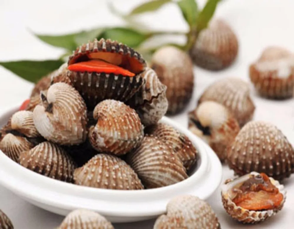 Sò ốc là nguồn cung cấp kẽm quan trọng cho cơ thể.