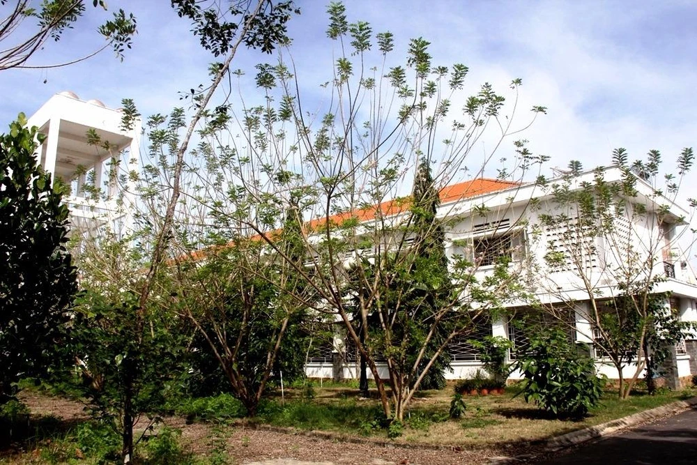 BV đầu tiên 100% bệnh nhân được dùng nước nóng ảnh 3 Quanh BV, những gốc hoa anh đào đang chuẩn bị trổ bông.