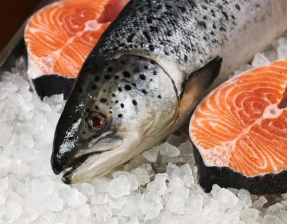 cá hồi giàu vitamin E