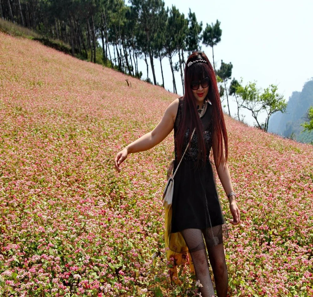 hoa tam giác mạch