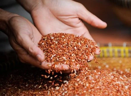 Gạo lứt, muốn hiệu quả phải biết cách ăn ảnh 10