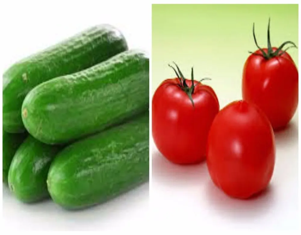 cà chua ăn với dưa leo