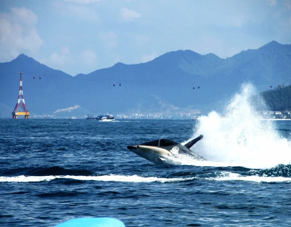 Từ 16-4, đến Nha Trang ‘cưỡi cá mập’ lướt sóng biển ảnh 4