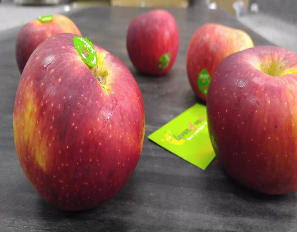 Táo có nhiều chất trị sưng nướu, giảm hôi miệng.