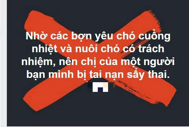 Dòng trạng thái đầy phẫn nộ của một người dùng FB khi anh vừa nghe tin một phụ nữ mang song thai bị tai nạn vì chó chạy rong khiến chị bị gãy xương đùi và sảy thai sau đó. Ảnh chụp màn hình FB