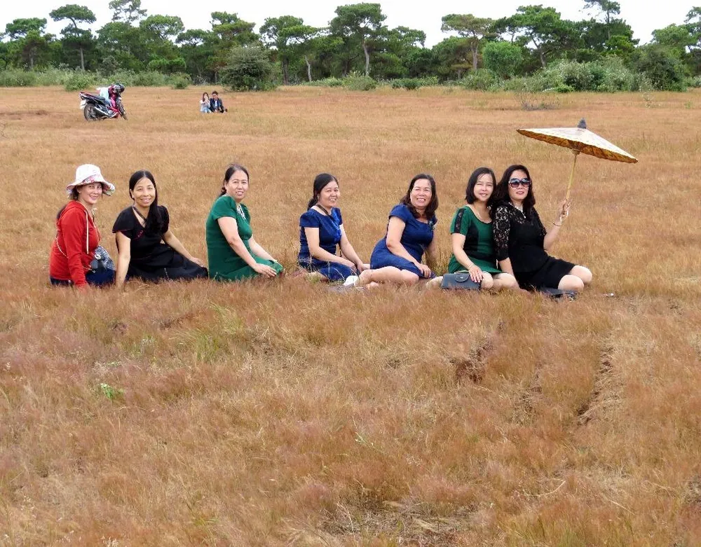 tham quan đồi cỏ hồng