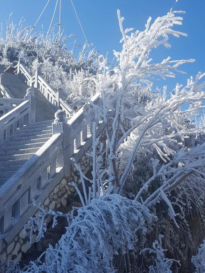 Ngắm băng tuyết phủ trắng đỉnh Fansipan ảnh 14